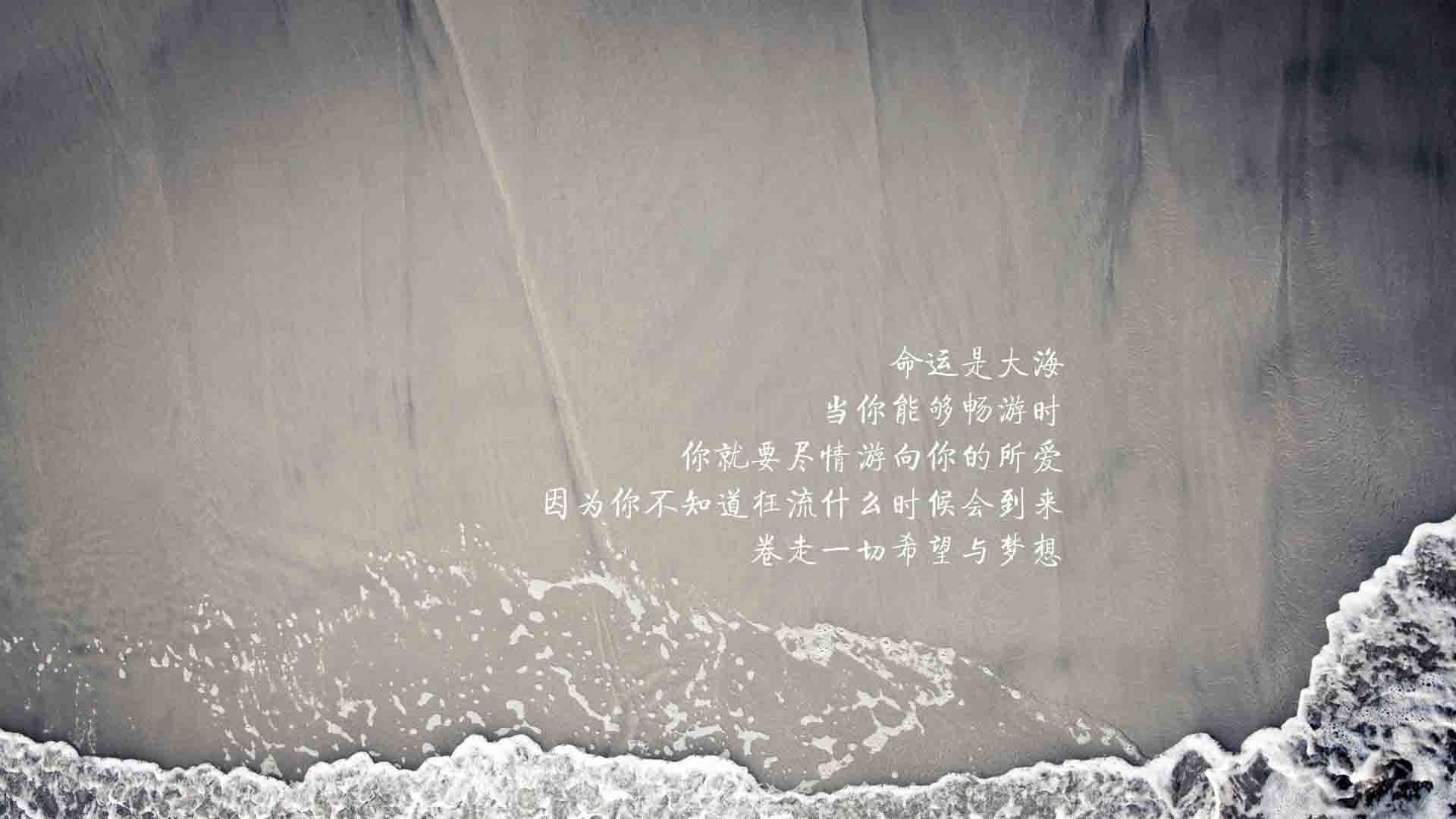 NBA联盟启动“亚裔月”活动，表彰华裔球迷贡献，nba中的亚洲人
