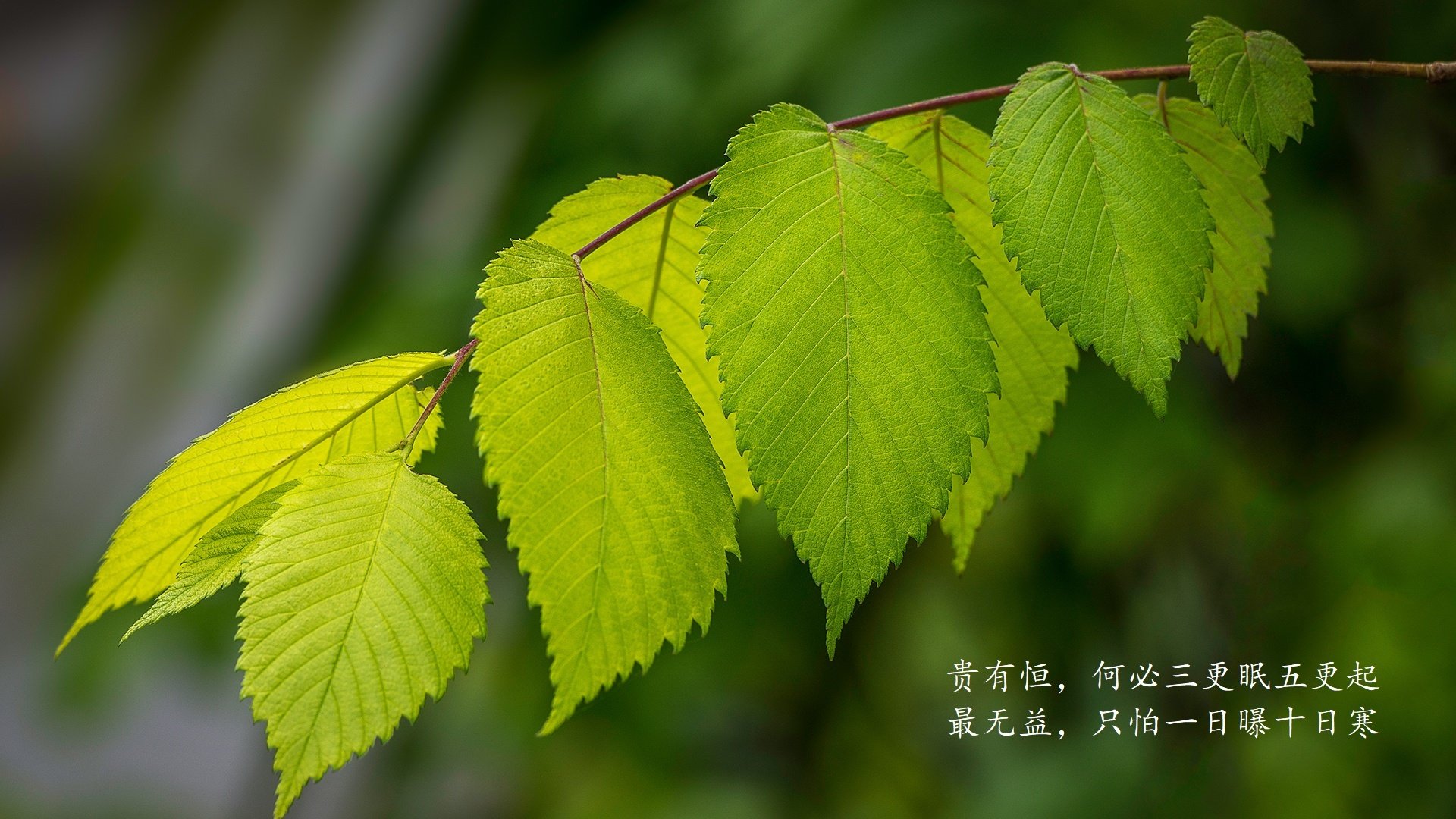 熊猫体育网址-“风云再起”——那些年激动人心的WRC逆转瞬间