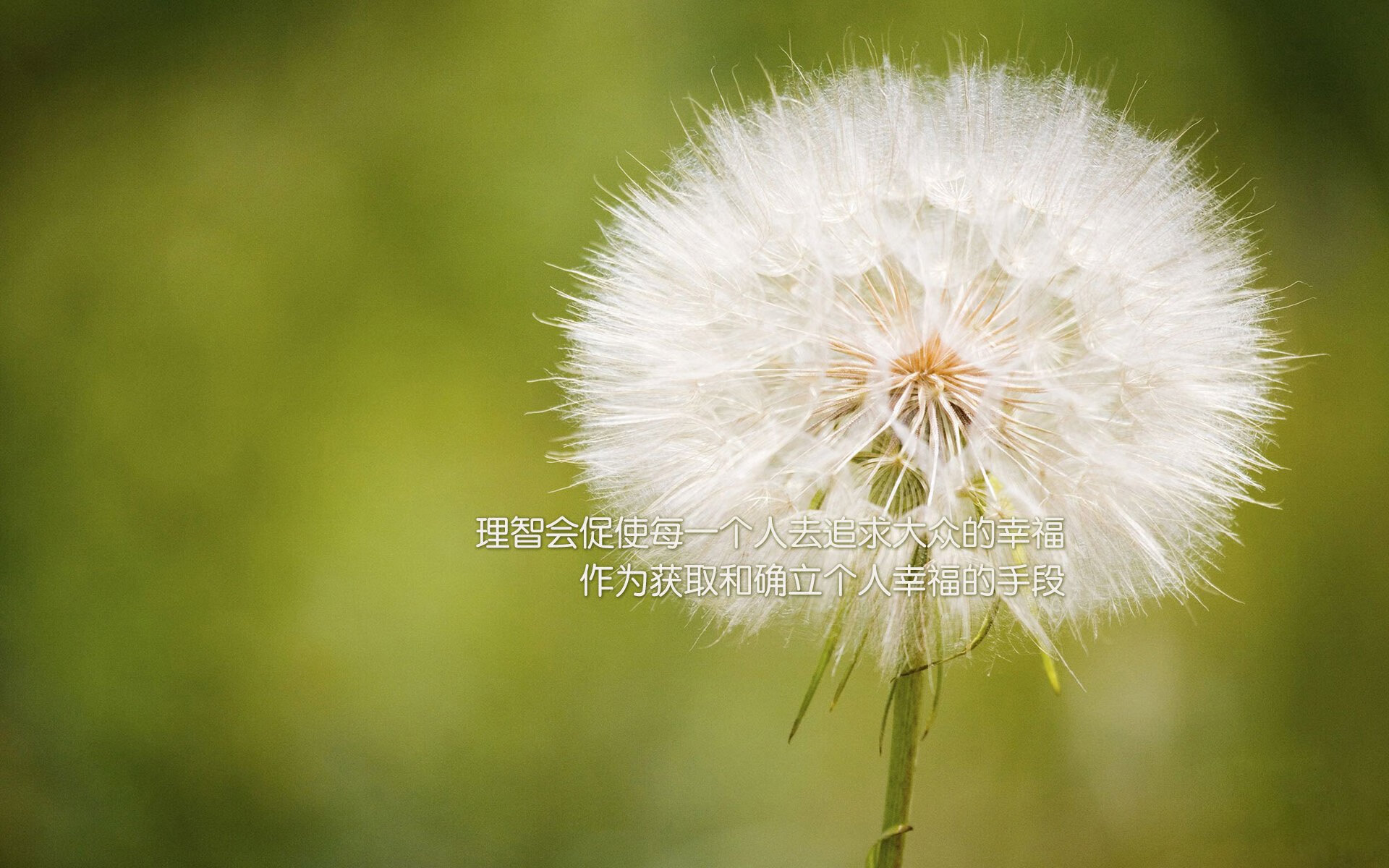 巴拉圭大胜波黑，晋级四分之一决赛，巴拉圭赛程500