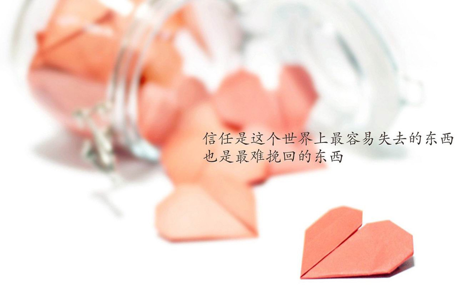 布莱顿攻守平衡，主场大胜对手！，布莱顿吧