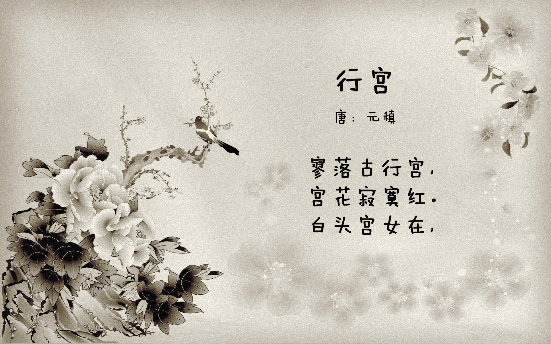 斯佩齐亚中锋爆发破门，率领球队击败对手，斯佩齐亚ds