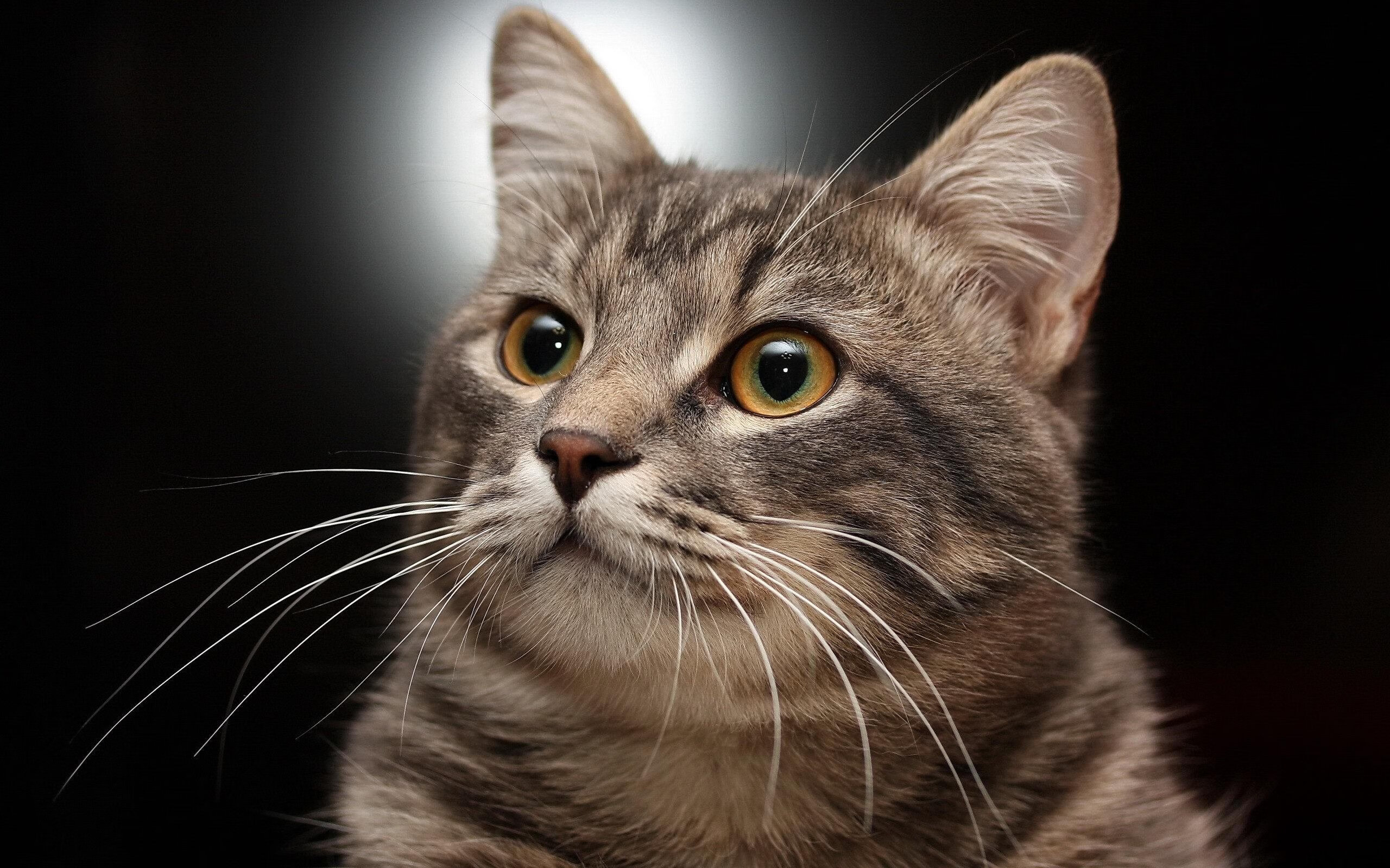 熊猫体育-欧国联赛角逐激烈，谁能夺得冠军？，欧国联赛程2021分组
