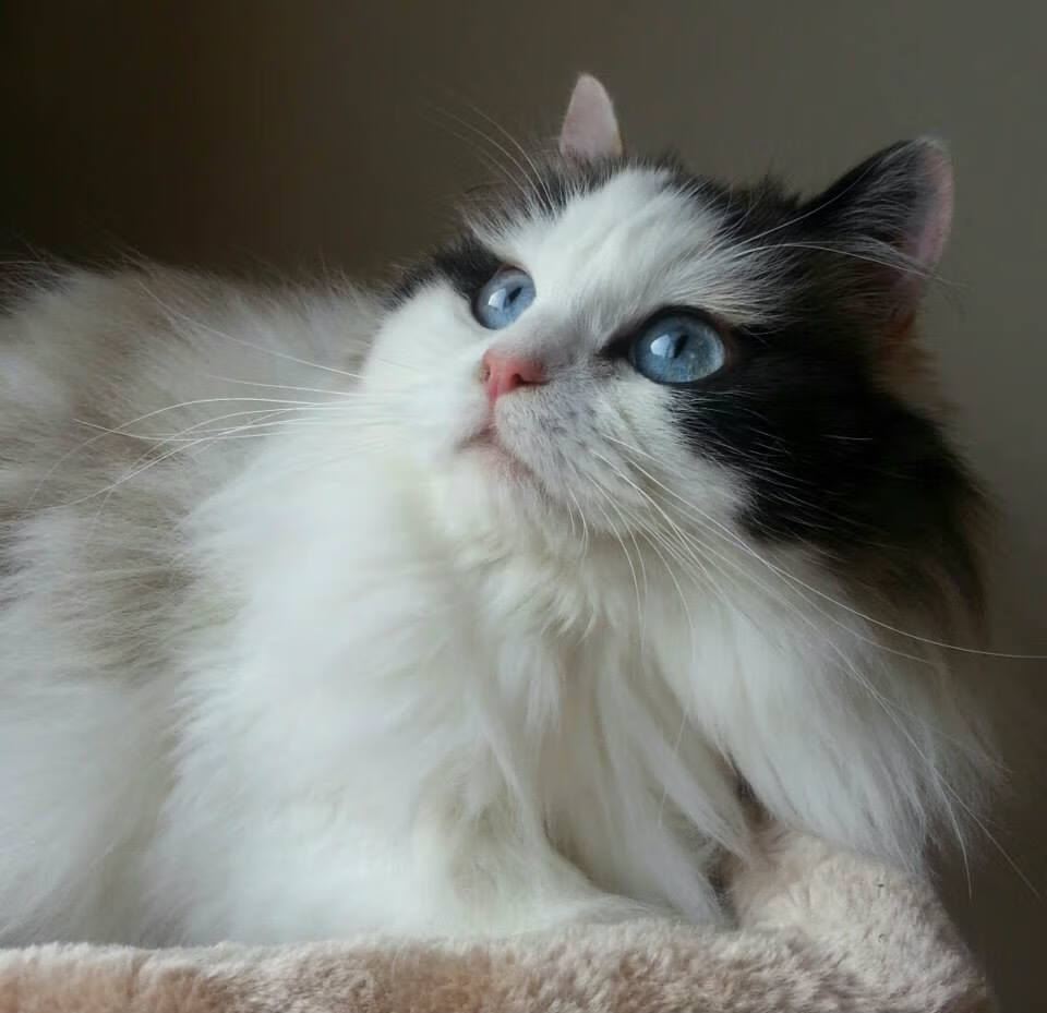 熊猫体育app下载-比赛垃圾时间是否应有管理机制，比赛前垃圾话