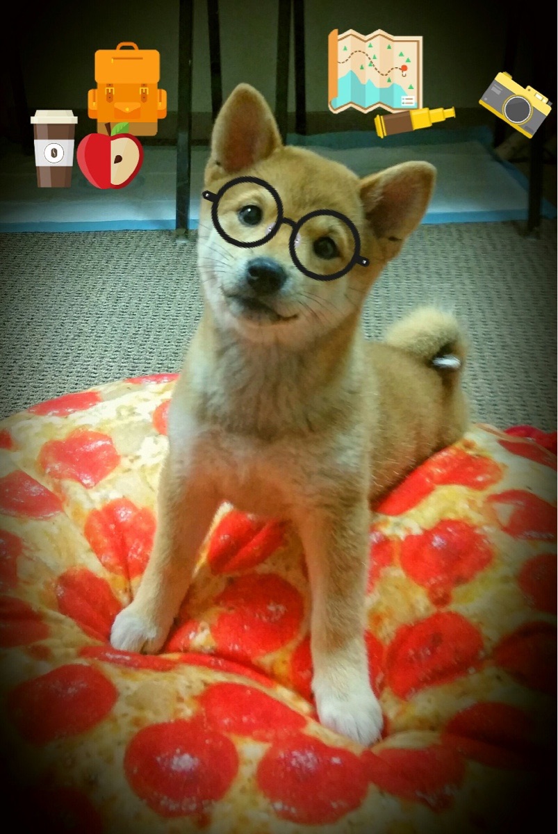 熊猫体育在线-莱切斯特取胜南特，为接下来重要比赛积蓄力量，莱切斯特ds