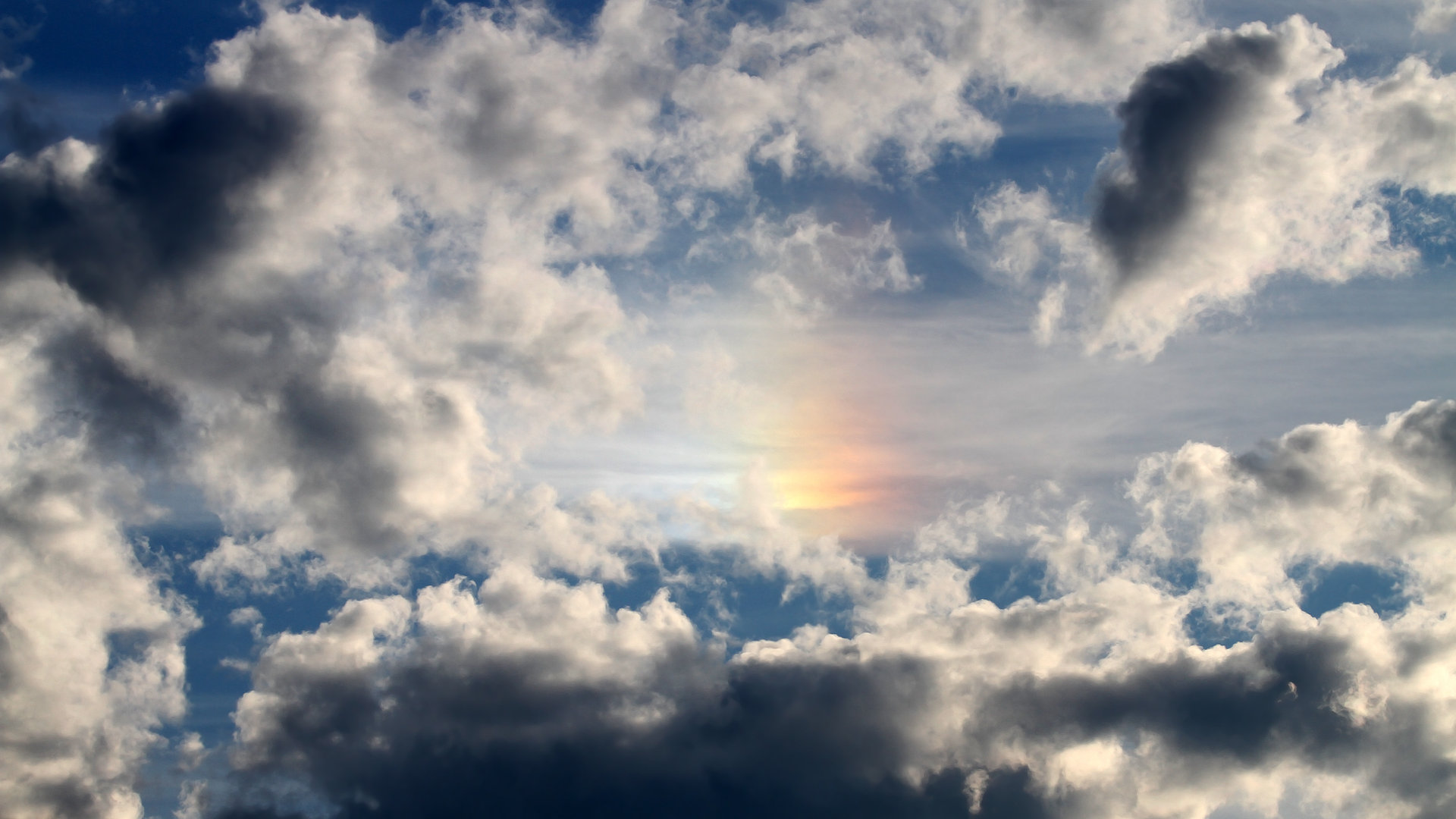 里尔主帅调整战术,里尔主力门将