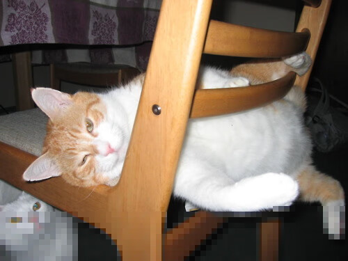 熊猫体育平台-阿尔勒西反目，战胜对手提升法甲排名，阿尔勒斯