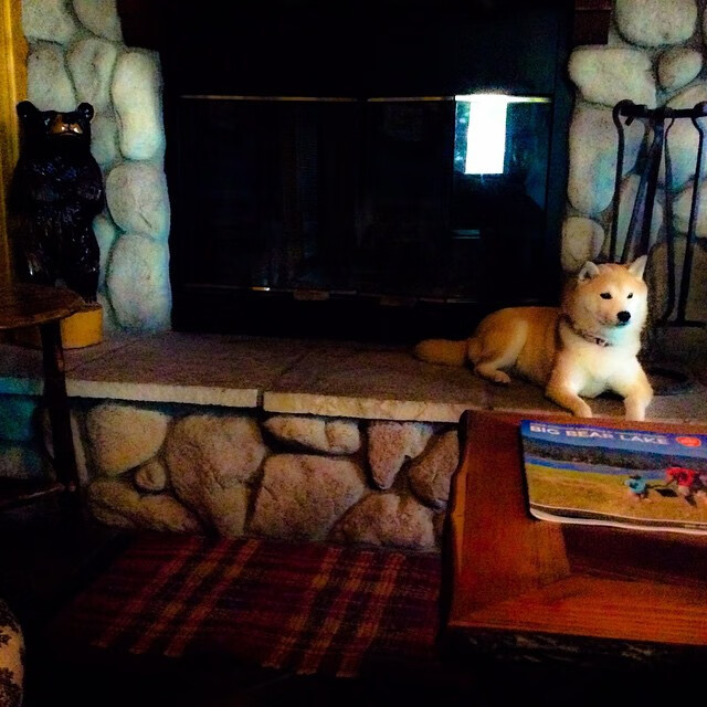 熊猫体育app-队伍们如何通过团结合作在足球比赛中获胜？，足球团结合作、互相配合