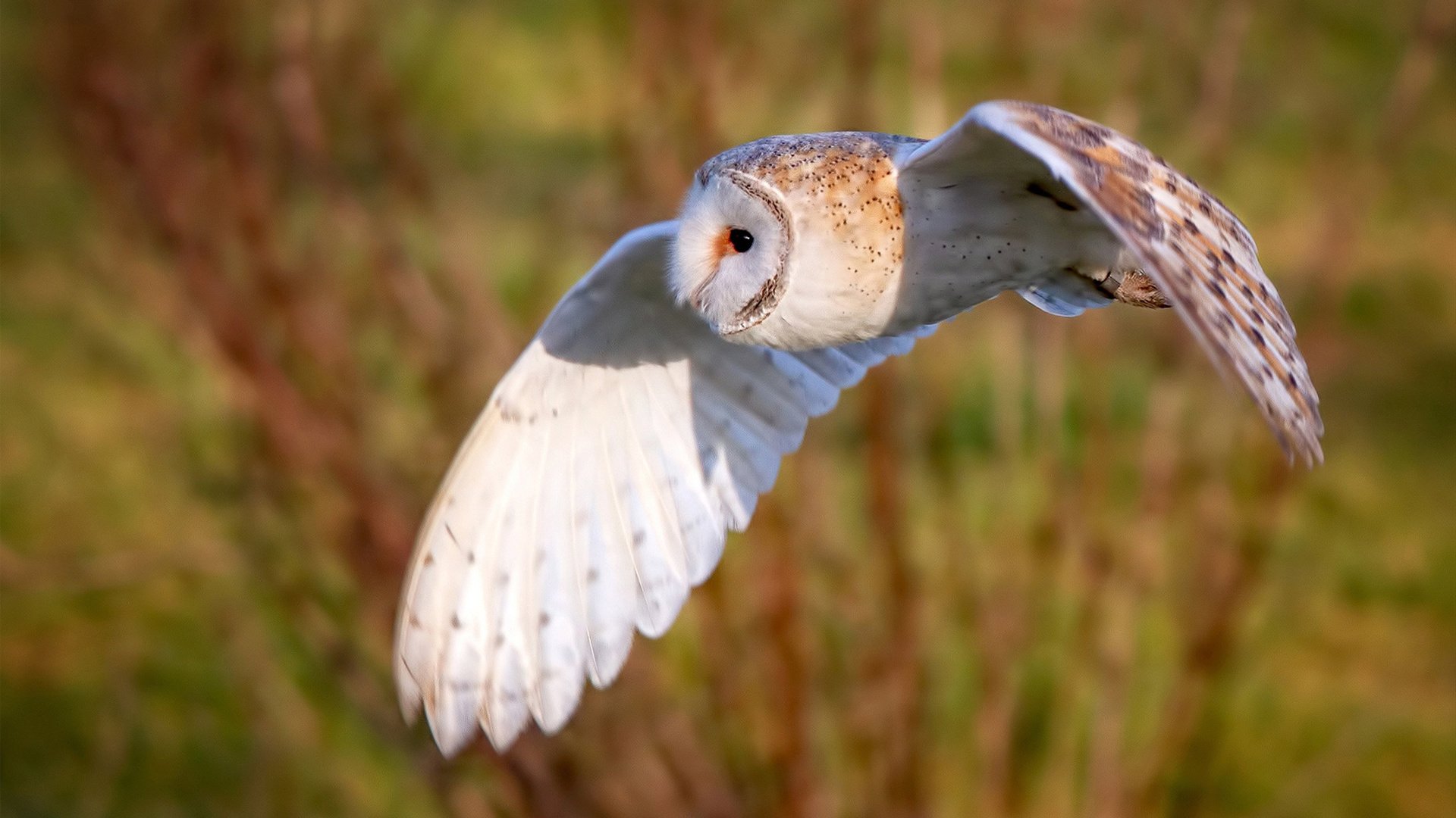 熊猫体育APP-青训体制改革能否实现因材施教，青训的要求