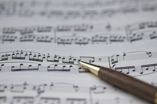 熊猫体育app-NBA球员职业规划建议与实施，nba球员怎么规划锻炼和训练