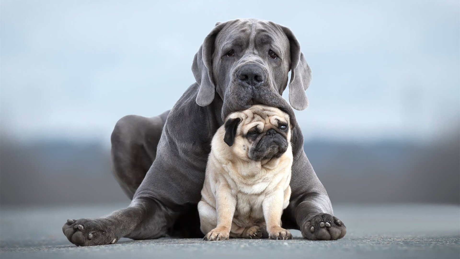 NBA球员职业规划建议与实施,nba球员怎么规划锻炼和训练