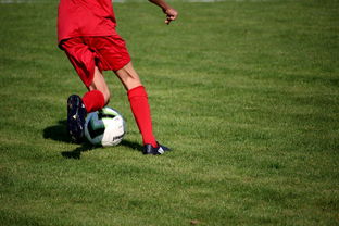 熊猫直播-意甲裁判语义辅助判罚系统提升比赛公平性研究，意甲裁判球衣赞助商