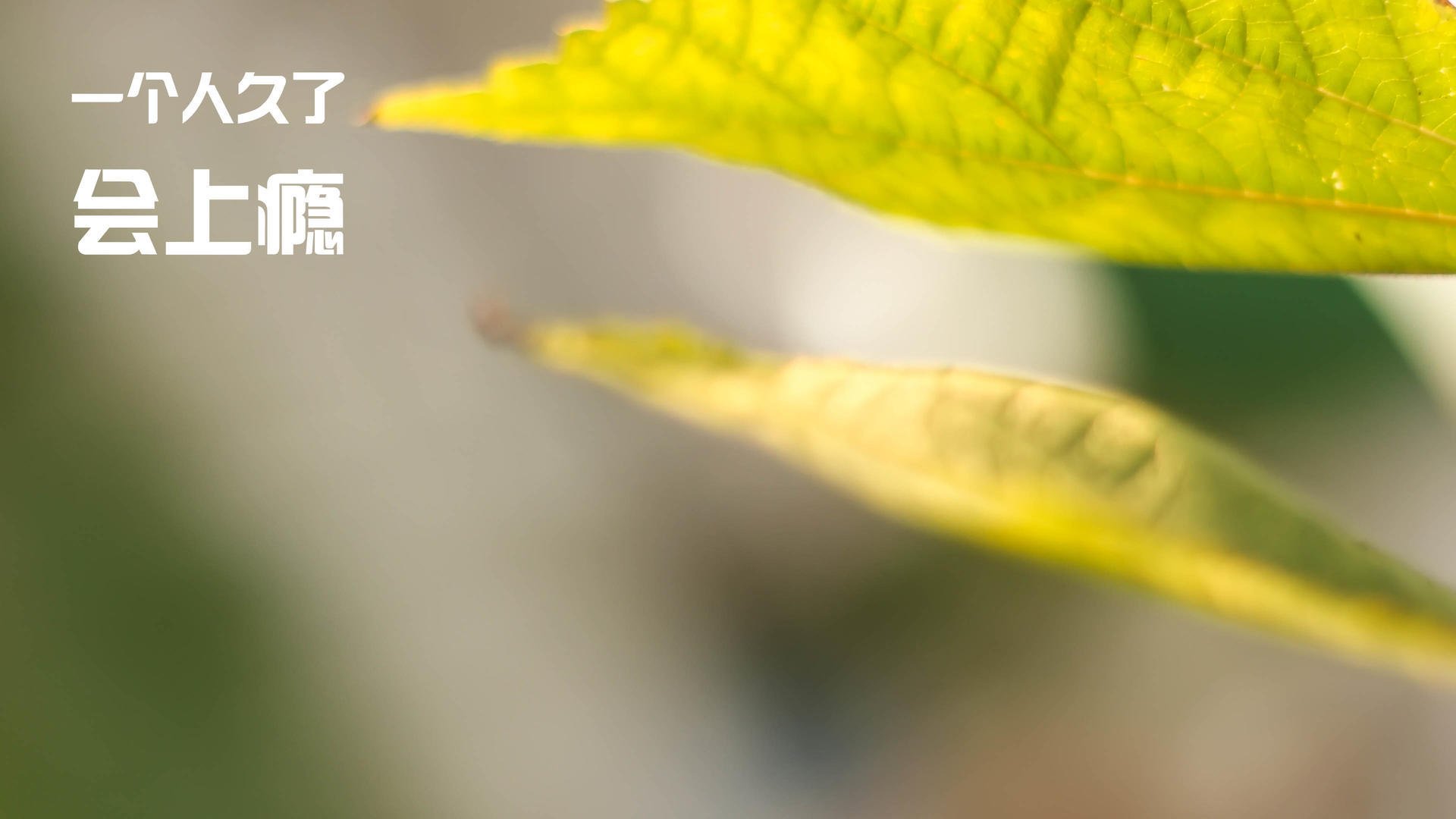 篮球运动员比赛心理压力管理与调节技术，篮球运动员的心理素质训练应把重点放在