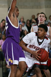 熊猫体育网页版-篮球运动员竞技表现数据挖掘技术研究，篮球运动员竞技能力分析