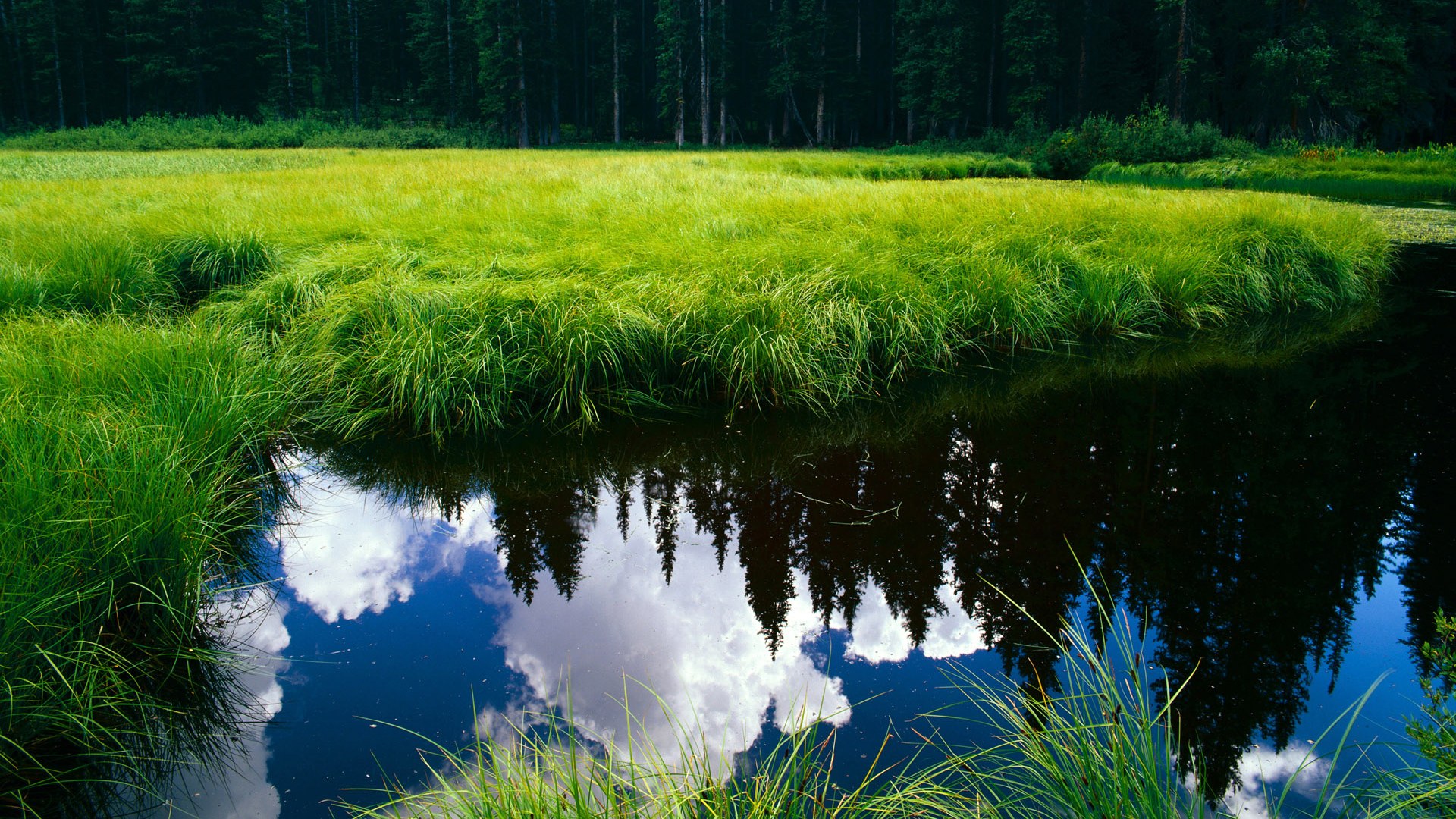 中国三人篮球男队快速反击能力明显增强,中国男子三人篮球运动员