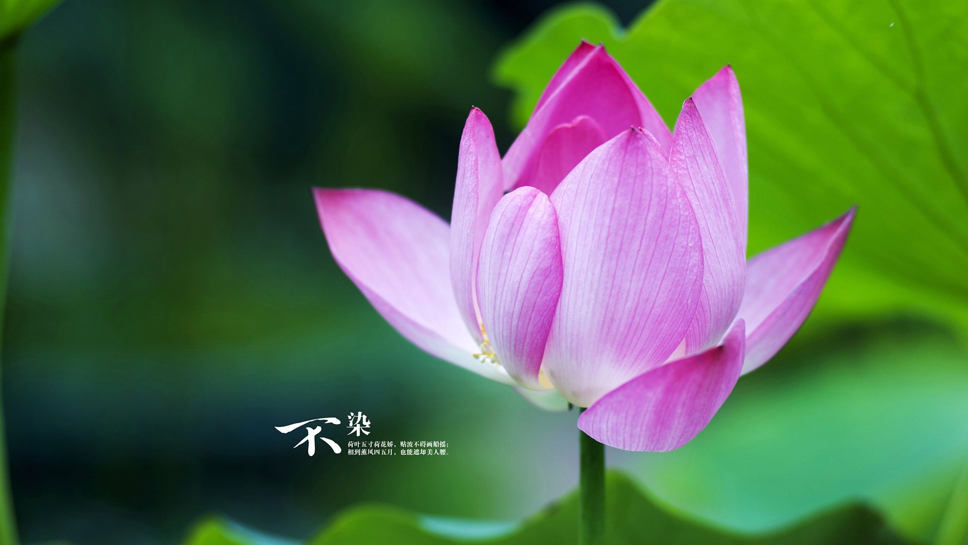 熊猫体育平台-中国赛车大奖赛决赛日燃情开跑，中国赛车节目