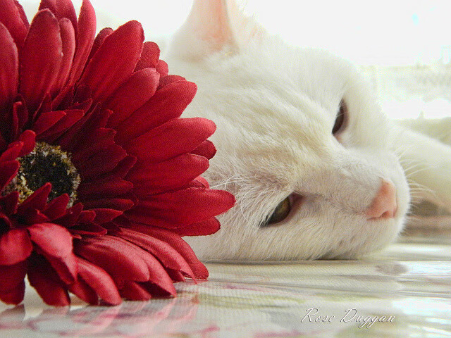 熊猫TV-出发反应时间数据对比分析，出发和返回时间怎么表达