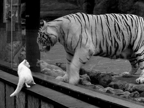 快攻推进时节奏错判是否容易导致空位浪费,快攻的阶段