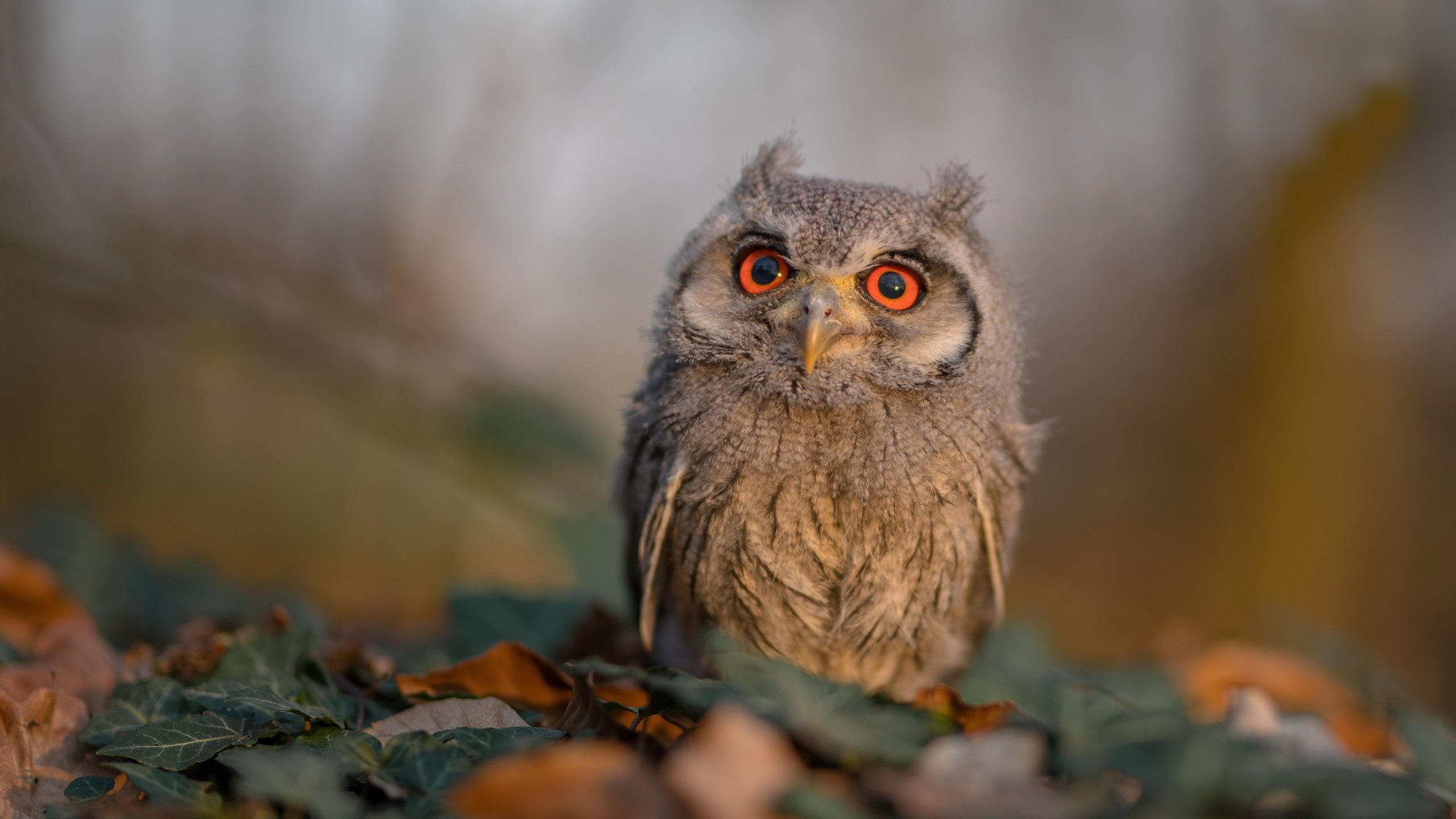 接力对战回放:每一段都藏玄机,接力赛全场最高技巧