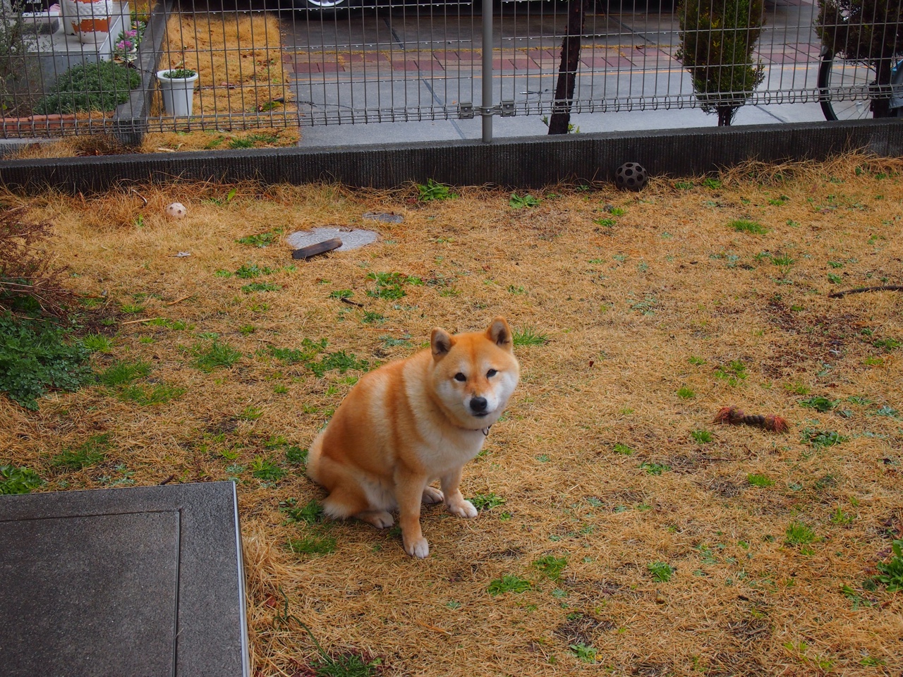 熊猫体育娱乐-坦桑尼亚男篮在非洲锦标赛中强势崛起，未来可期