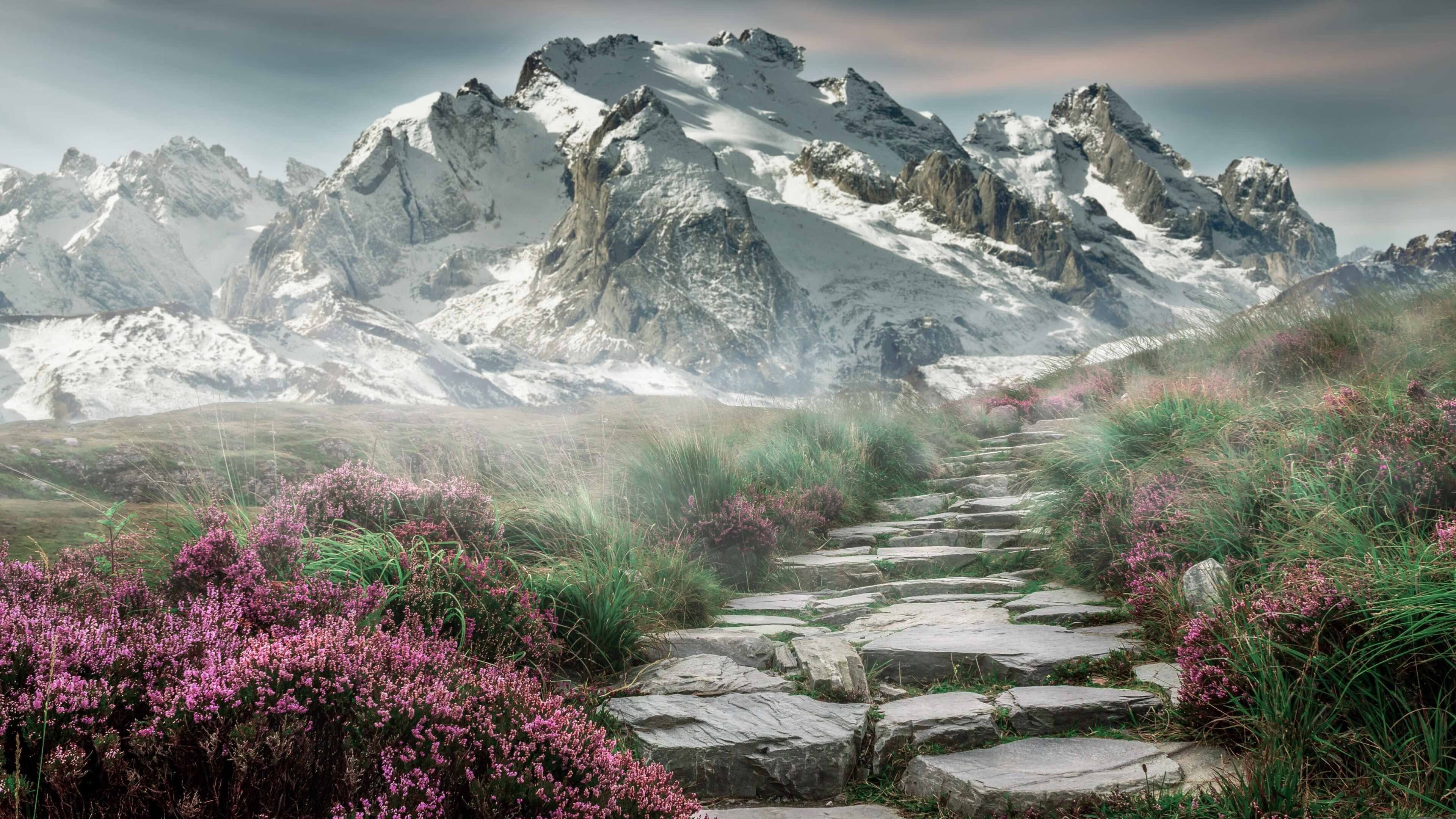 德甲激情弧线：精彩任意球不可错过！