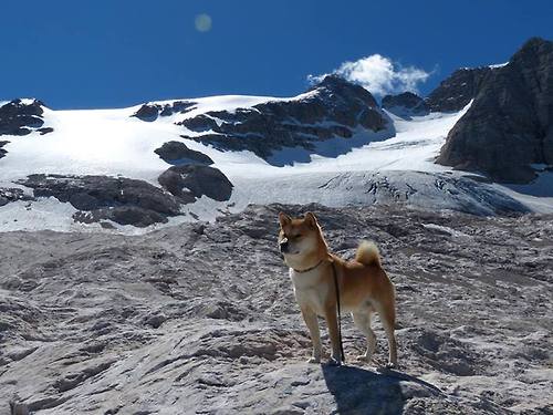 新闻中心通报体育赞助商变更信息及协议内容,体育活动赞助商