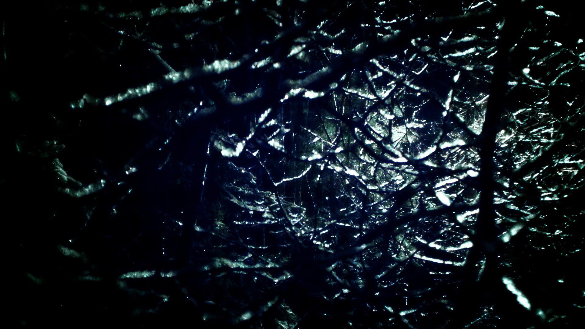 澳洲队用坚韧与协作书写辉煌篇章,澳大利亚队员