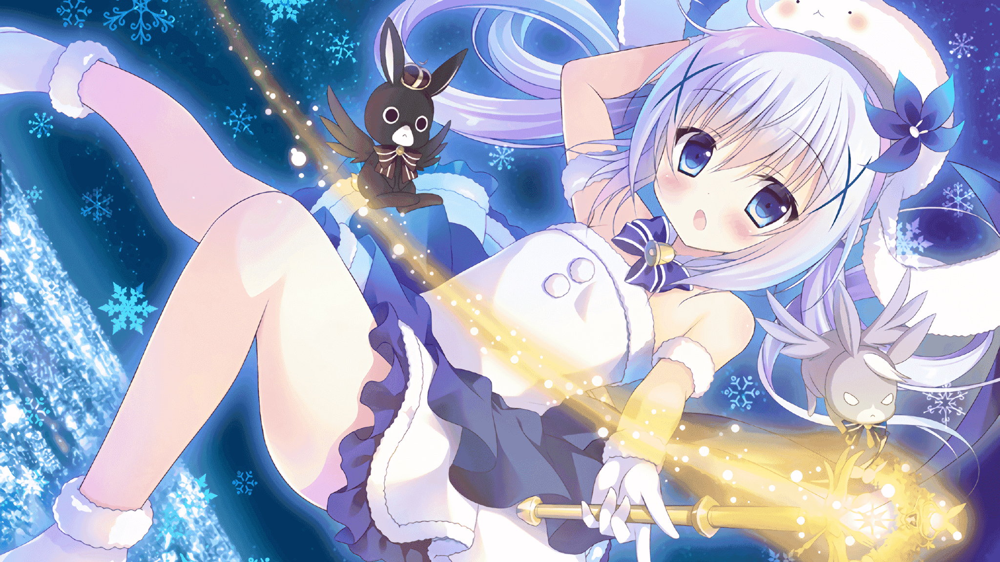 美洲杯明星助威:激情全开!,美洲杯得主