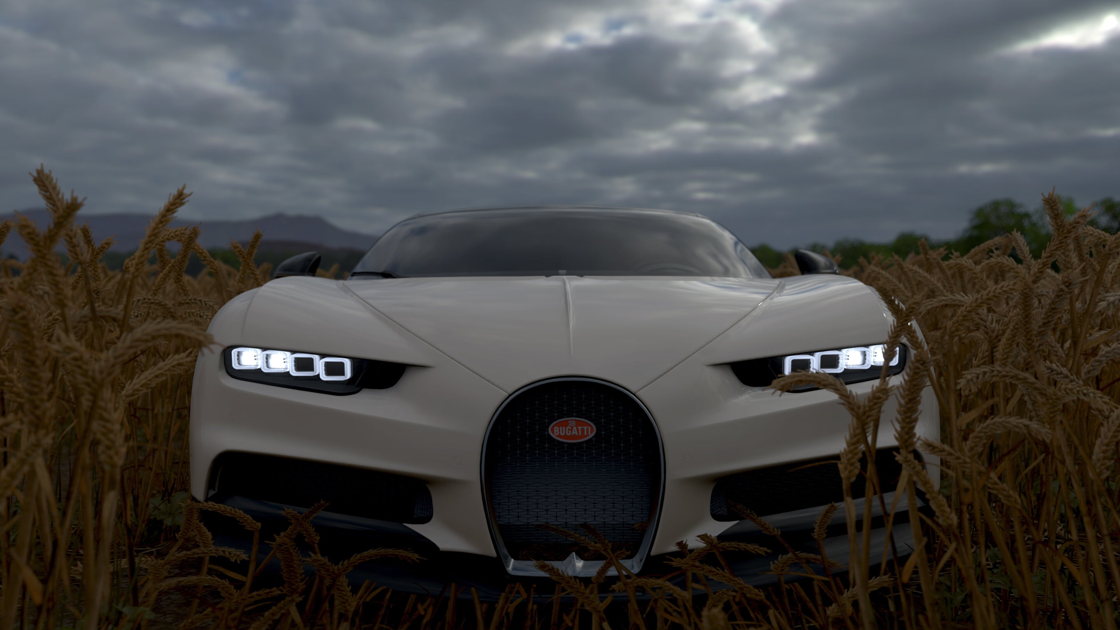 职业联赛推行训练分享会促进经验交流,职业联赛的要求