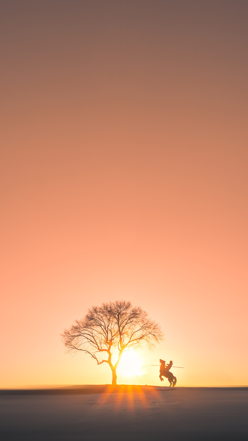 芬兰男篮在欧洲锦标赛中崭露头角,力争奖牌