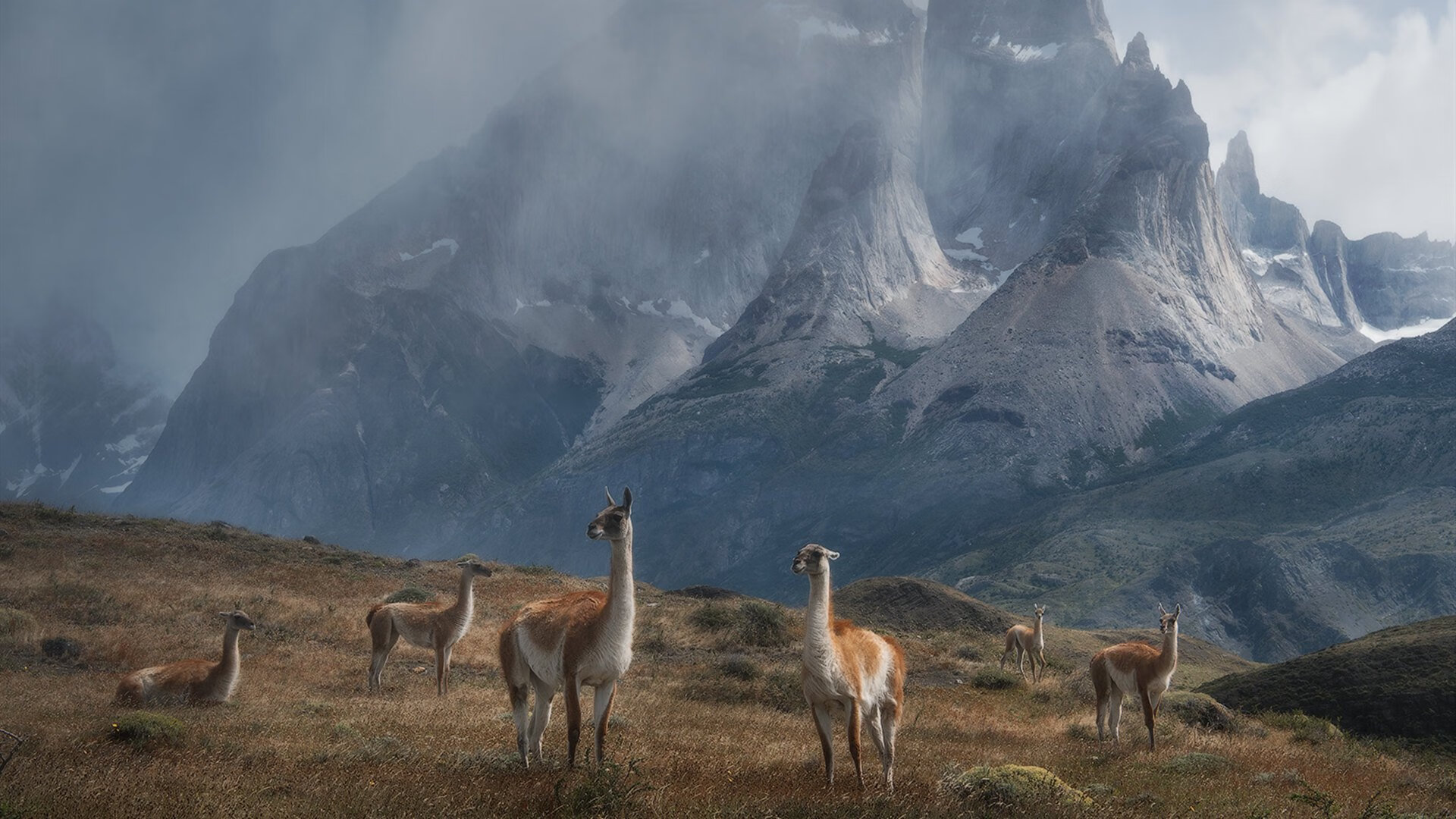 西甲技艺高超:盘带和远射成比赛亮点