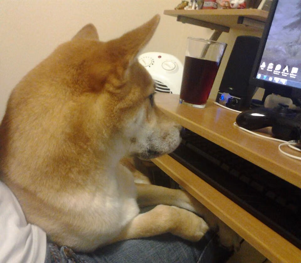 熊猫体育app官网-马拉维男篮在非洲锦标赛中再夺冠军，体育成就新里程碑，非洲国家马拉维